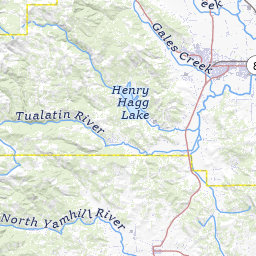 Larval headwater stream amphibian captures from the Trask River