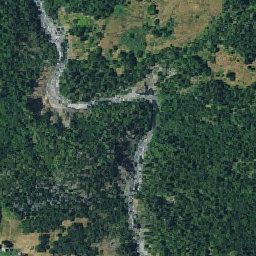 ArcGIS Web Application