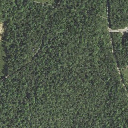 ArcGIS Web Application