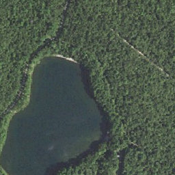 ArcGIS Web Application