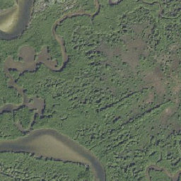 ArcGIS Web Application
