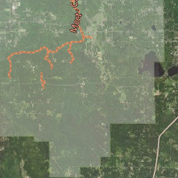 Public Land Survey System (PLSS) Map Viewer | Manistee County, MI