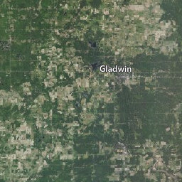 Public Land Survey System (PLSS) Map Viewer | Gladwin County, MI