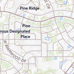 Pine Ridge Topo Map FL, Citrus County (Holder Area)