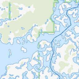 Hell Gate Topo Map FL, Citrus County (Ozello Area)