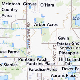 Gavin Estates Topo Map FL, Hillsborough County (Plant City West Area)